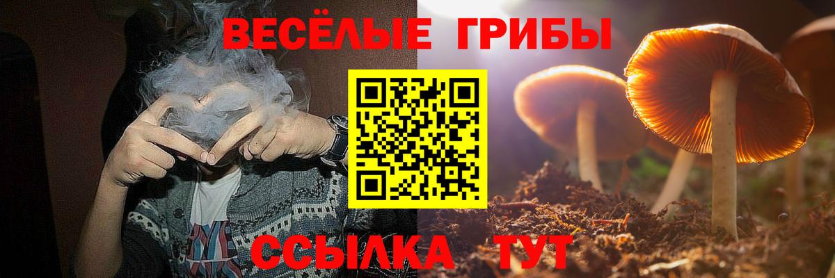 как найти наркотики  Галлюциногенные грибы ЛСД  Вход с VPN  Набережные Челны  Галлюциногенные грибы Cubensis 