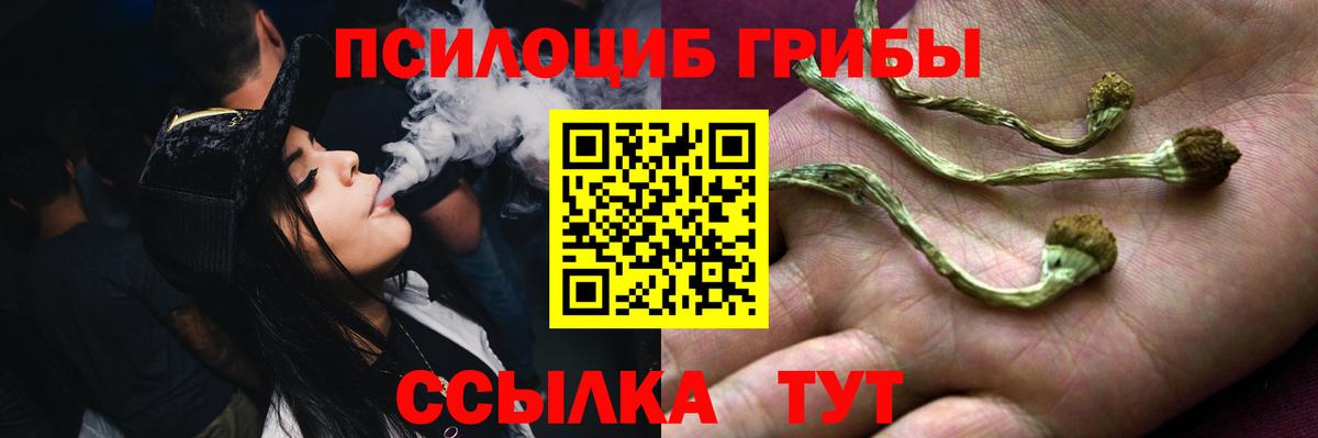 Галлюциногенные грибы Cubensis Набережные Челны